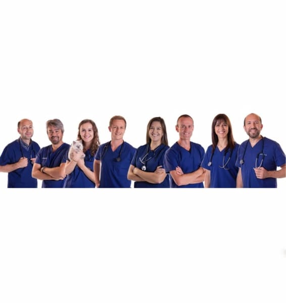 Clinique Vétérinaires V 24 — photo