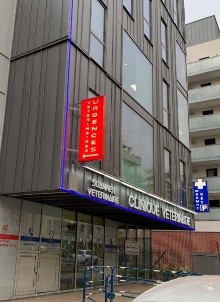 CLINIQUE VETERINAIRE MERMOZ VET — photo