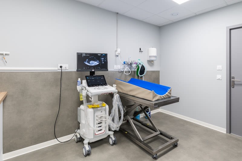 Urgence Vétérinaire Lyon Nord - Vétérinaires 2 Toute Urgence Dardilly — photo