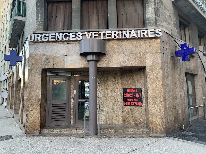 Clinique Vétérinaire K d´Urgence — photo