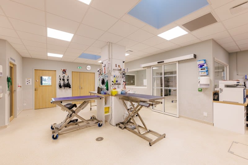 Urgence vétérinaire - clinique de garde - Vétérinaires 2 Toute Urgence Clermont-Ferrand — photo