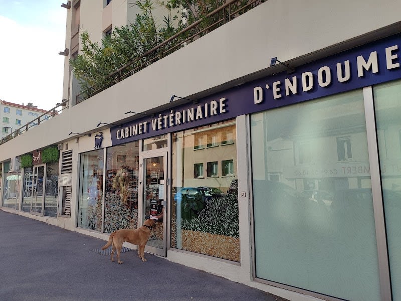 Clinique vétérinaire d'Endoume — photo