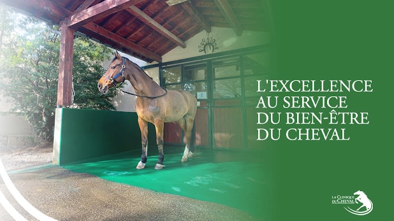 La Clinique du Cheval, Centre Hospitalier Vetérinaire Equin — photo