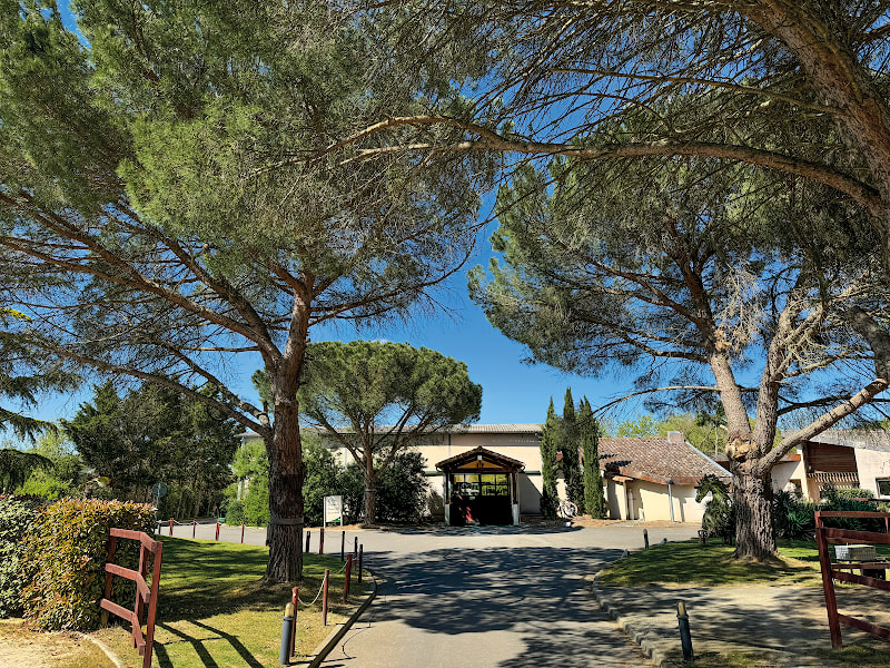 La Clinique du Cheval, Centre Hospitalier Vetérinaire Equin — photo