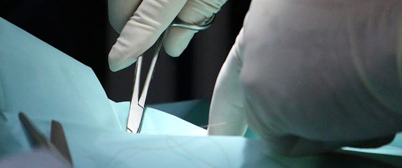 Urgences Vétérinaires DELTA83 — photo