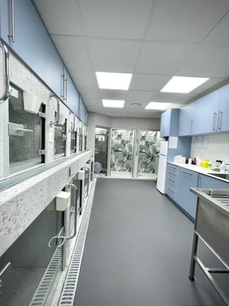 Clinique Vétérinaire Ric et Rac — photo