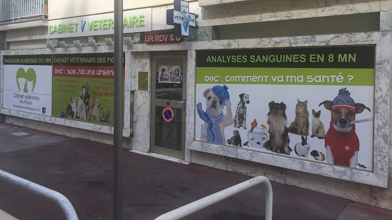 CABINET VETERINAIRE DES PIGNES - Uniquement sur Rendez-Vous - Urgence Joignable 7/7J - Examen Clinique Complet Nice 06 — photo