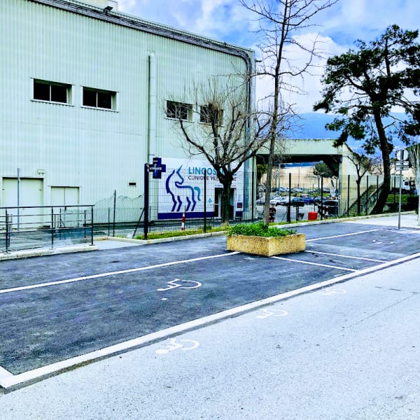Lingostière Clinique Vétérinaire — photo