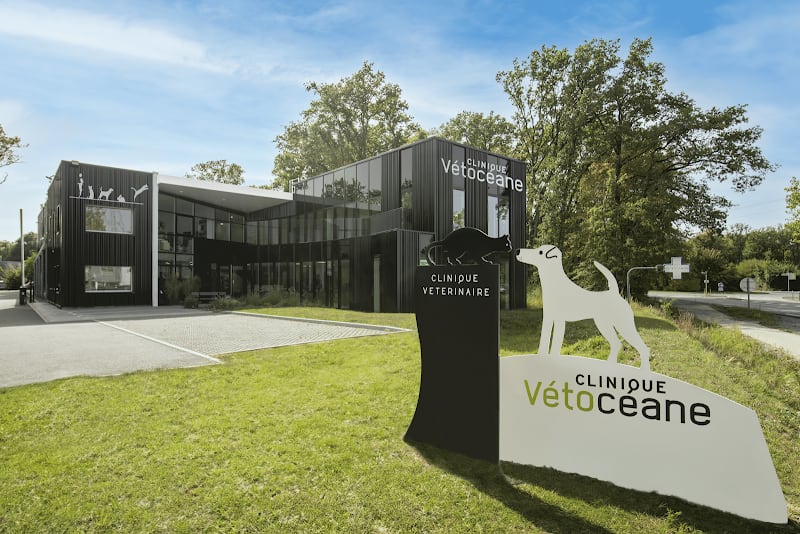 Clinique Vétocéane — photo