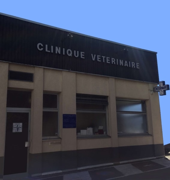 Clinique vétérinaire de l'Esplanade — photo