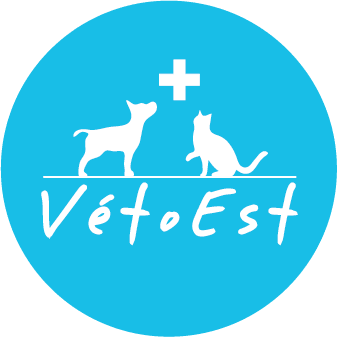Véto Est — photo