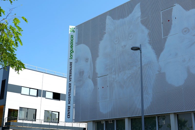 Centre Hospitalier Veterinaire Languedocia — photo