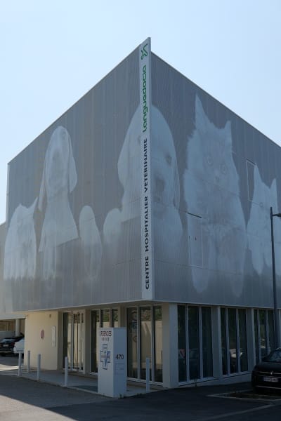 Centre Hospitalier Veterinaire Languedocia — photo