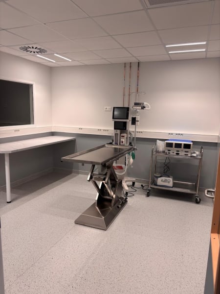 Vétérinaires Bordeaux Sud | Urgences 7j/7, 24h/24 — photo