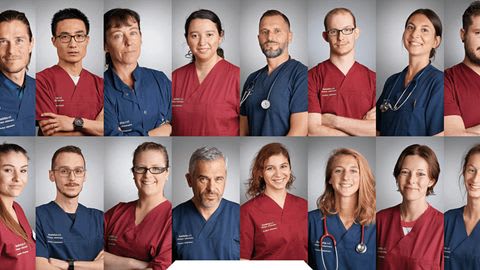 Clinique Vétérinaire ASSISTAVET — photo