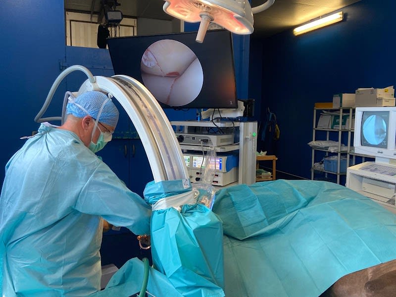 Clinique Vétérinaire Équine de La Teste (chevaux uniquement 🐎) — photo