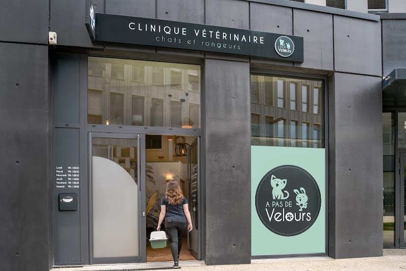 Clinique vétérinaire dédiée aux chats, lapins et rongeurs "A pas de velours" — photo
