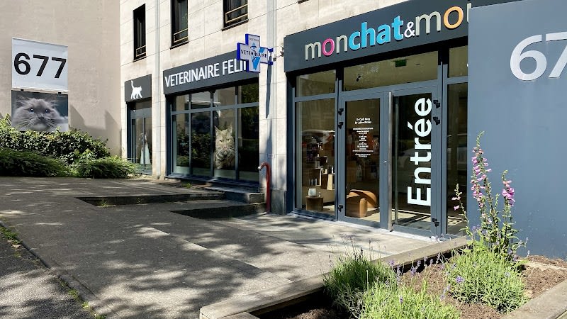 Mon Chat et Moi, vétérinaires à Lille — photo