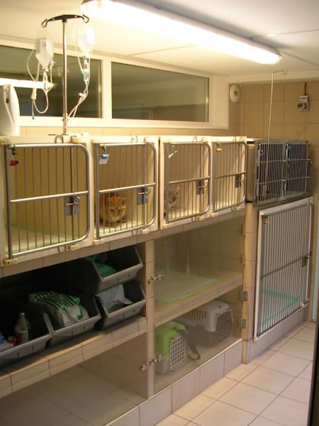 Clinique Vétérinaire de l’Avenue — photo