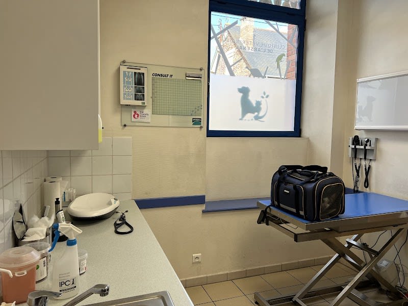 Clinique Vétérinaire de l'Arsenal — photo