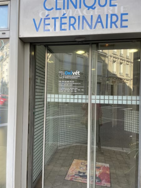 Okivét - Clinique vétérinaire Reims Cathédrale — photo