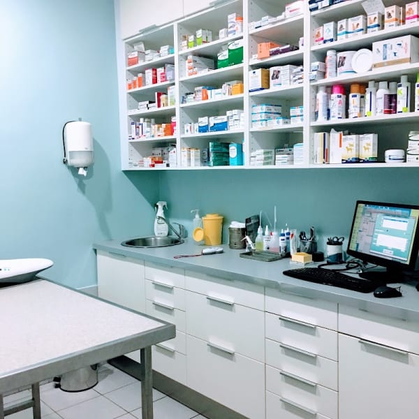 Clinique Vétérinaire Saint Paul Paris — photo