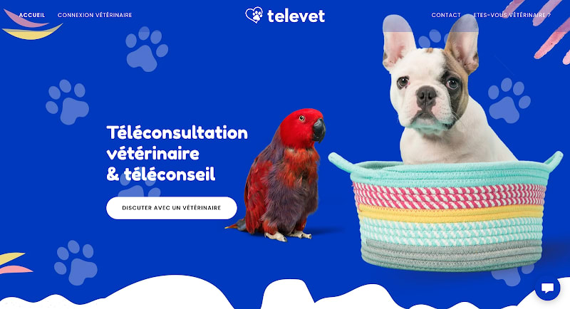 TeleVet - Téléconsultation vétérinaire et Vétérinaire à domicile — photo