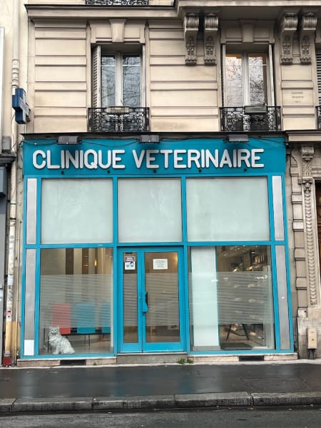 Clinique vétérinaire BASTILLE /RÉPUBLIQUE Dr ZAKINE Frédéric — photo