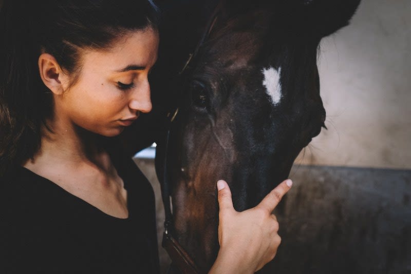 Diane CRESPI - Osteopathe animalier — photo