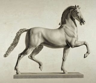 Equine Mind Body - Massage & physio de performance équine — photo