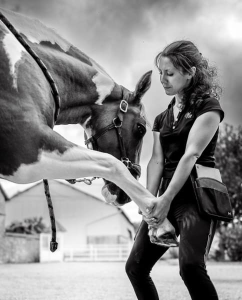 MG Physio - chiens & chevaux - Le massage équin & canin au service du bien-être et de la performance — photo