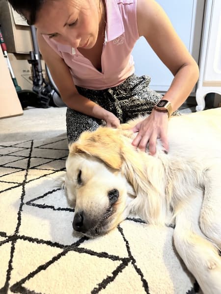 MG Physio - chiens & chevaux - Le massage équin & canin au service du bien-être et de la performance — photo