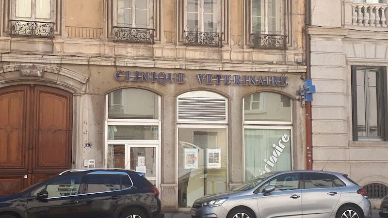 Clinique vétérinaire Bellecour — photo