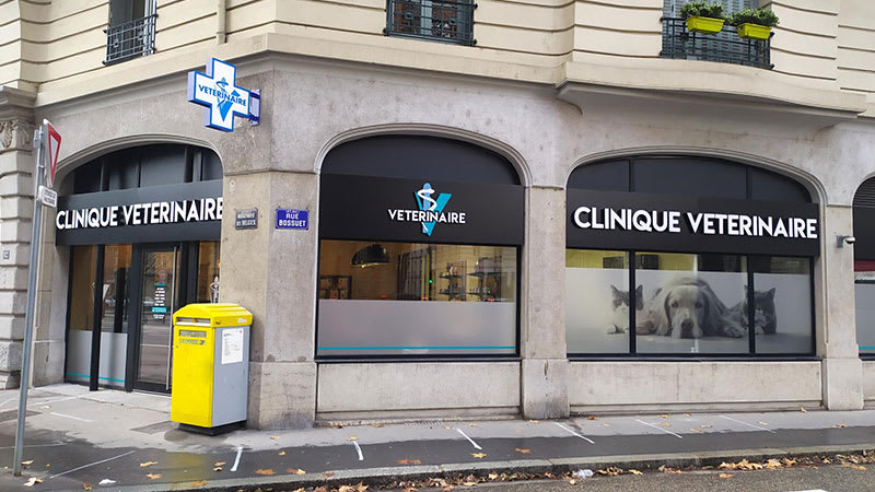 Mon Véto Lyon Brotteaux — photo