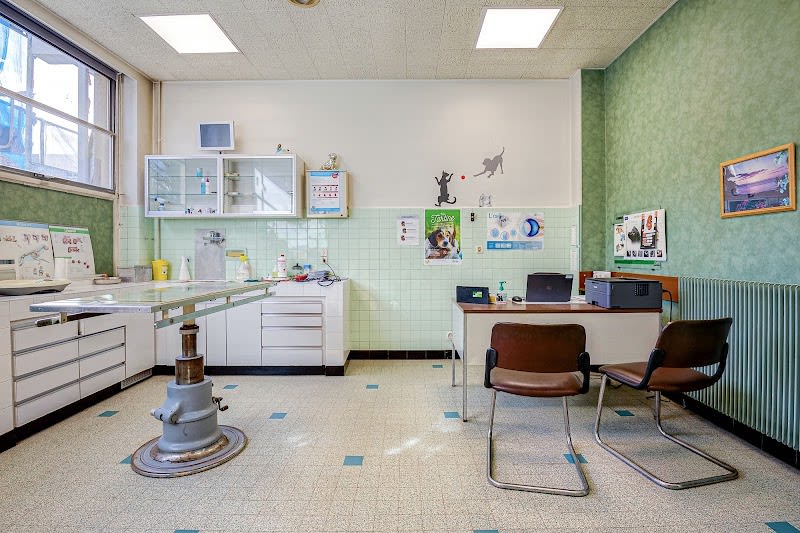 Clinique Vétérinaire Argos Lyon Monplaisir — photo