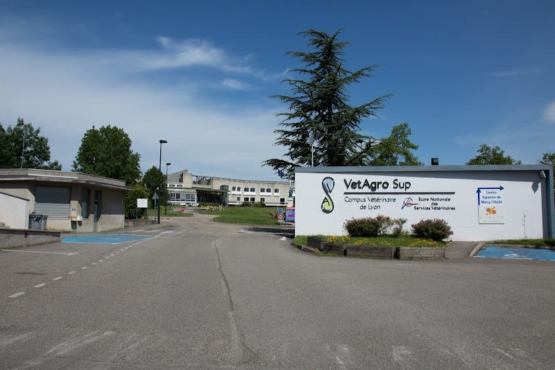 VetAgro Sup - Campus vétérinaire — photo