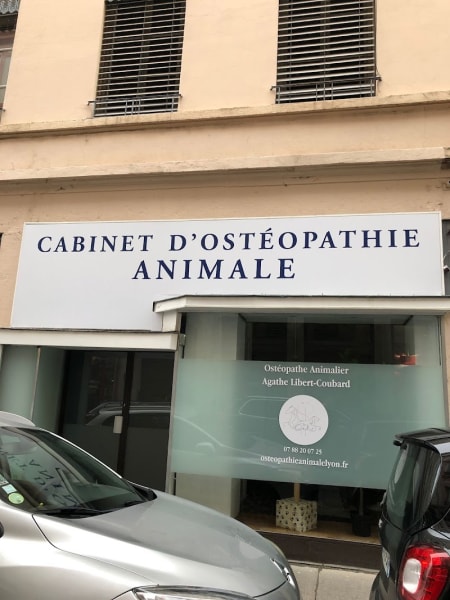 Ostéopathe Animalier - Agathe Libert Coubard - Ostéopathie Animale Lyon — photo