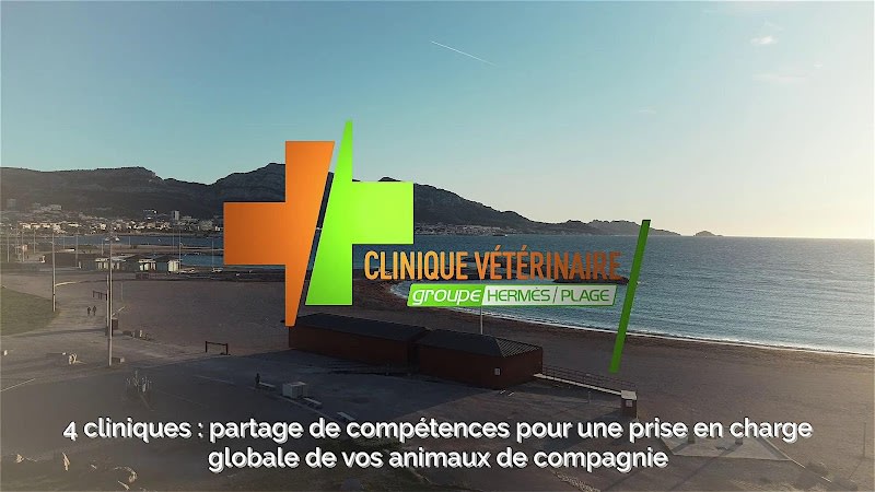 Clinique Vétérinaire De La Plage — photo