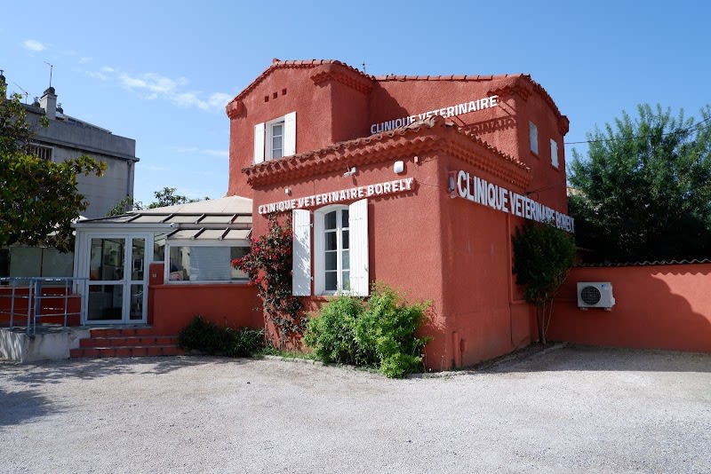 Clinique vétérinaire Borély — photo