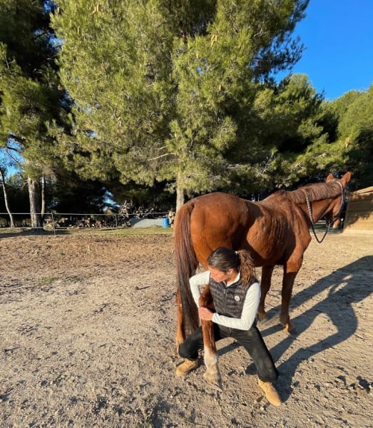 Alizée Foillard - Ostéopathe Animalier (équin, canin, félin) — photo