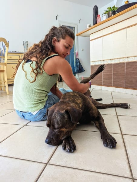 Aguero Aurelie Osteopathe animalier — photo