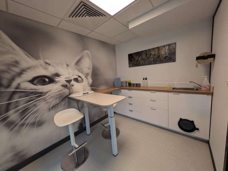 Médichat - Clinique Vétérinaire Féline — photo