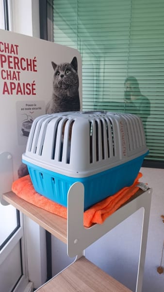 Clinique Vétérinaire de l'Orangeraie — photo