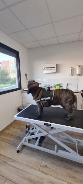 Clinique vétérinaire la Borde Rouge — photo