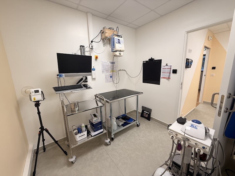 La Clinique Féline de la Cartoucherie (vétérinaires pour chats) — photo