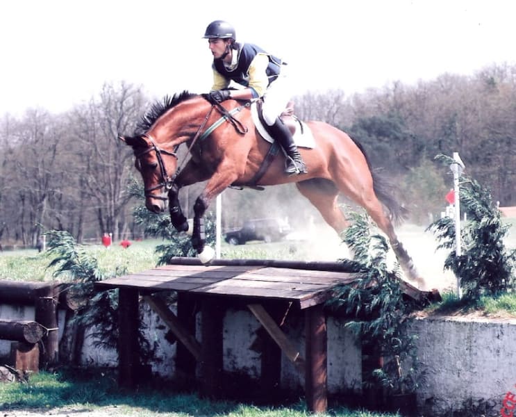 Simon LOMBARDY - Ostéopathe Animalier - Toulouse - Occitanie - Ostéopathe équin - Ostéopathe canin — photo