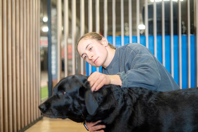 Ostéani - Emilie Chesnel (ostéopathe pour animaux) — photo