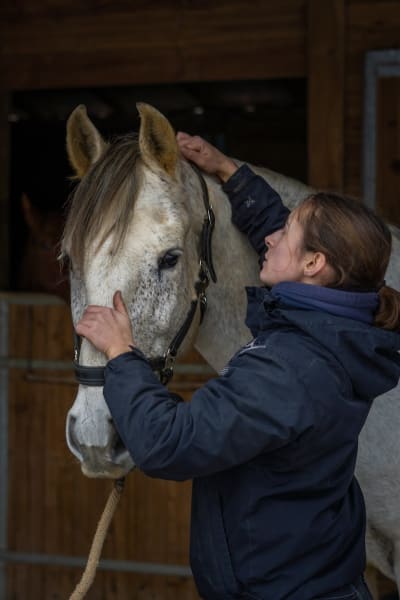Ostéani - Emilie Chesnel (ostéopathe pour animaux) — photo