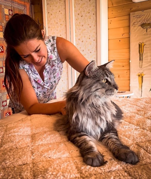 Sonia Loupias Ostéopathe Animalier (chevaux, chiens, chats, nacs, etc) — photo