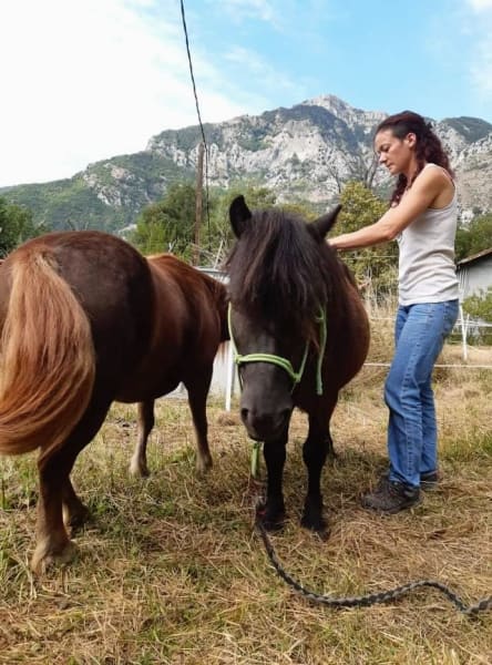 Alexia ORTEGA Ostéopathe animalier Alpes Maritimes OA 460 — photo